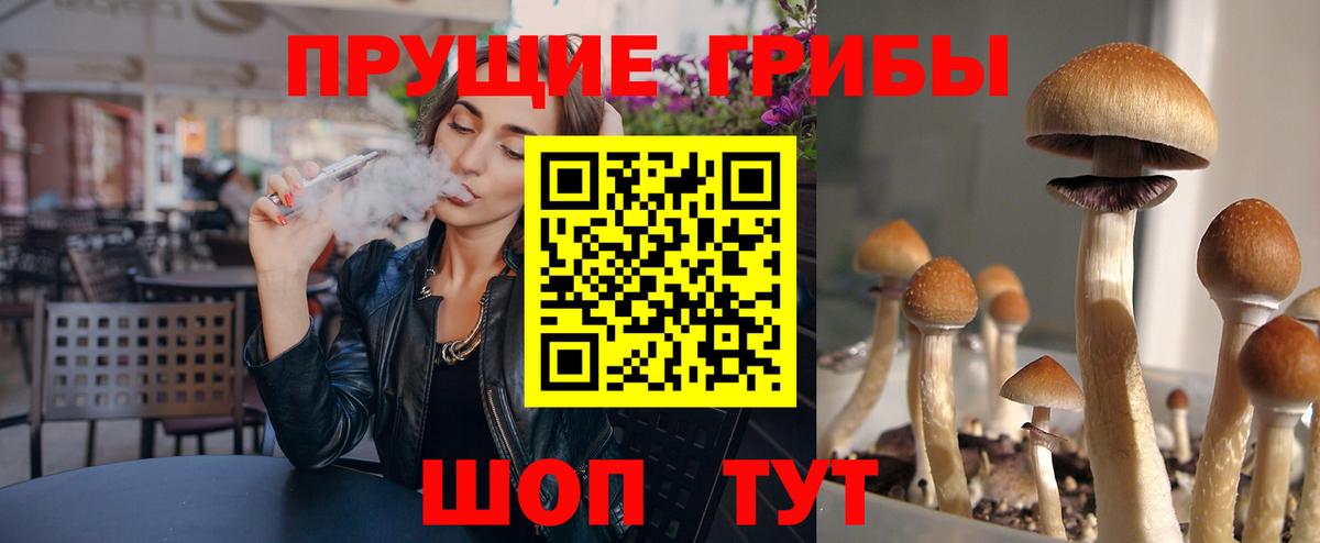 Кызыл  Псилоцибиновые грибы Psilocybe  Вход с VPN 