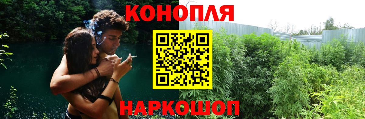 Каннабис ГИДРОПОН Кызыл